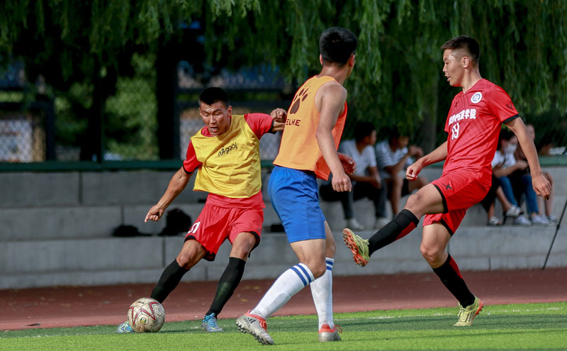 明尼苏达双城队在常规赛最后一战通过加赛击败底特律老虎，杀入季后赛