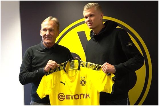 Senzu推荐的明日之星cobrazera何许人也？